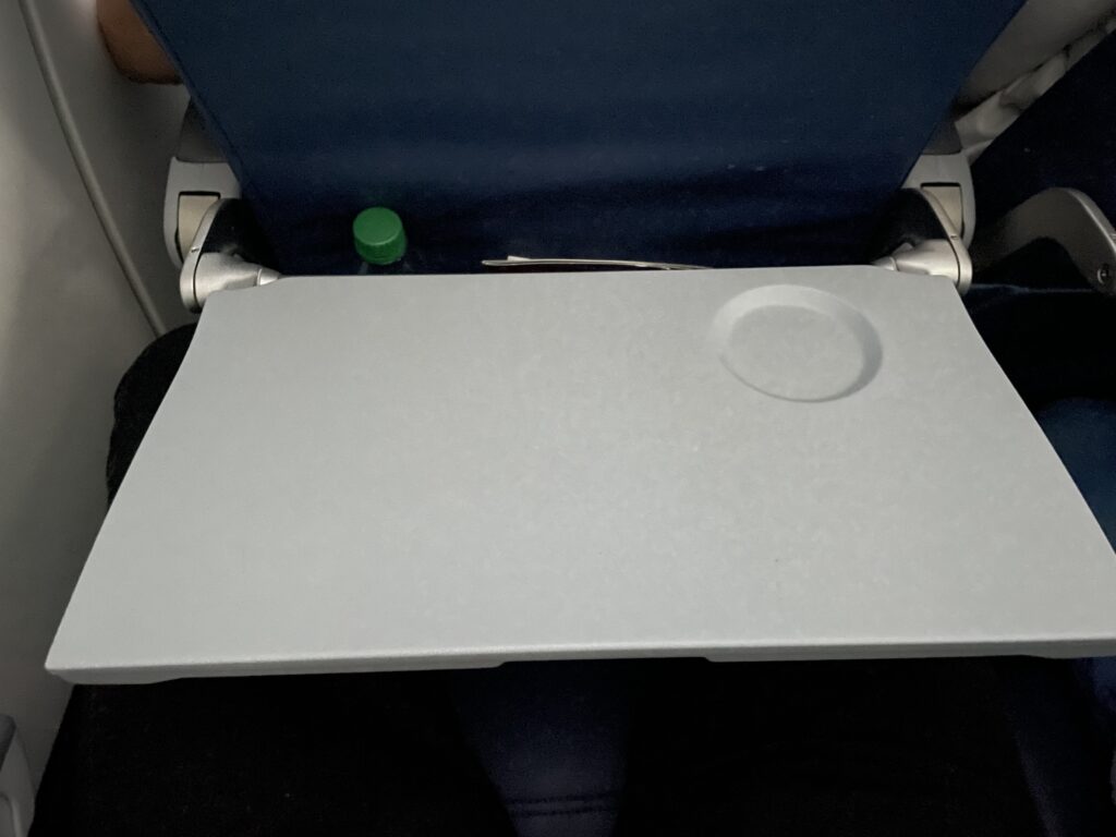 Tray table on a Delta Airlines Airbus A321